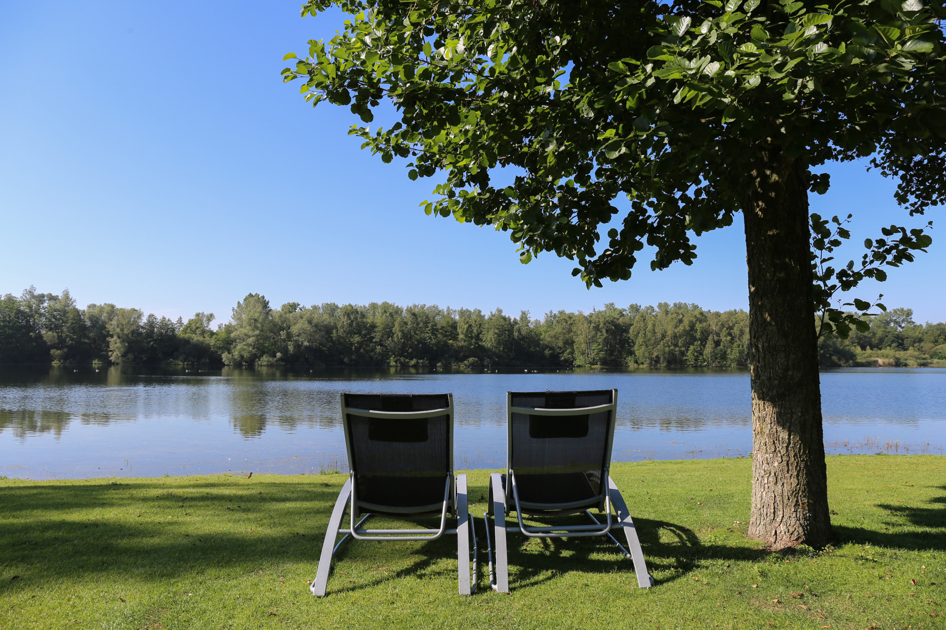 Twee strandstoelen bij het meer van de Veluwse Bron tijdens de zomer 